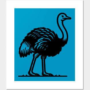 Ostrich Posters and Art